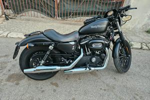 883 Iron 2010