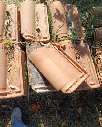 586 tegole in laterizio e 36 mezze tegole