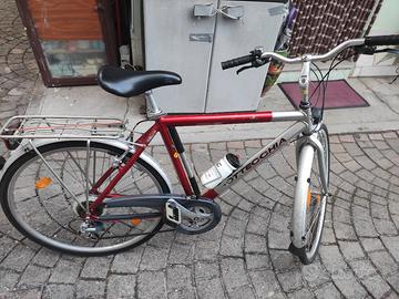 bici da uomo bottecchia e coppi