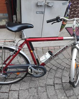 bici da uomo bottecchia e coppi