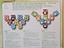 Immagine 2