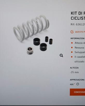 KIT DI RIBASSAMENTO DELLA CICLISTICA KTM 890 R