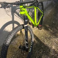 Cannondale fsi