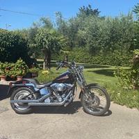 Harley Davidson softail Springer 1450 carburatore 