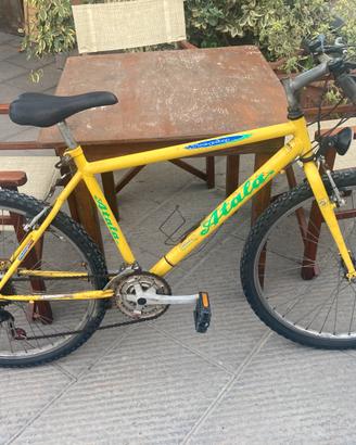 Atala 26” pollici