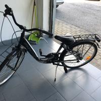 Bicicletta da passeggio 