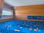 Immagine 17