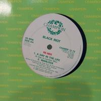 Black Riot - A Day In The Life (Re-Mix) Warlock
