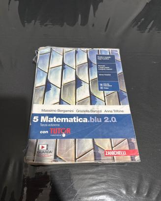 Matematica Blu 5