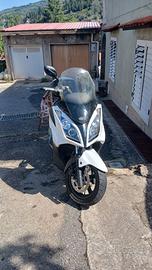 Moto kimco