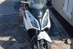 Moto kimco