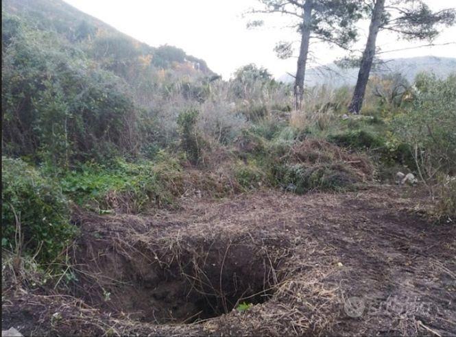 Terreno agricolo - Vista 4