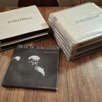 COLLEZIONE  DI 50 DISCHI I MUSICA SINFONICA