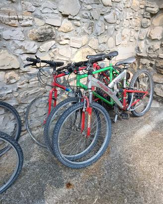 biciclette 