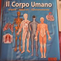 Il corpo umano organi-apparati-funzionamento 