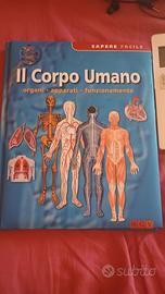 Il corpo umano organi-apparati-funzionamento 