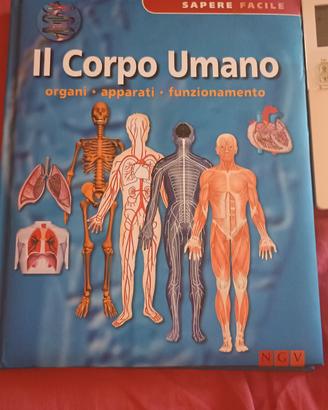 Il corpo umano organi-apparati-funzionamento 