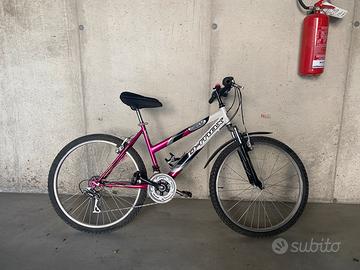 Bici moutain bike SkyRocket D-Max