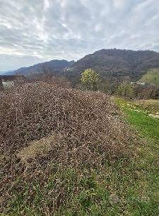 Immobile in asta di 3888 m² a Altissimo - Vista 4