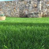 BILOCALE a risparmio energetico CON GIARDINO