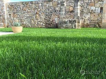 BILOCALE a risparmio energetico CON GIARDINO
