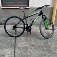 Bicicletta Kawasaki Usata 