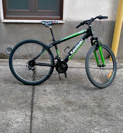 Bicicletta Kawasaki Usata 