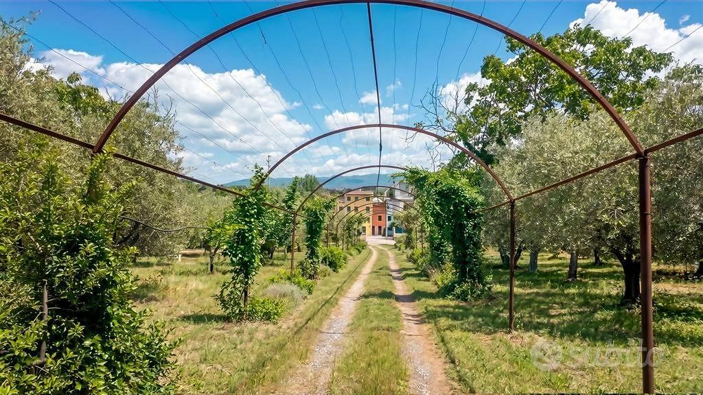 Casa – Zagarolo, Roma Capitale - Vista 2