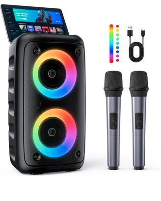 Karaoke con Microfono, professionale 