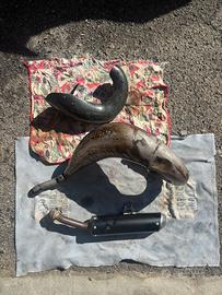 Pancia ( scarico)  Hgs  Xe, 125!Yz leggere sotto!