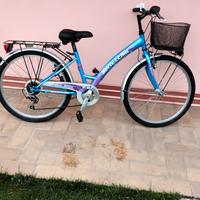 bici 24