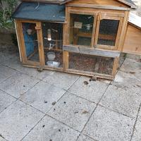 Voliera da esterno per canarini