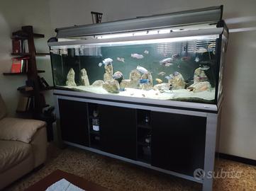 Acquario ferplast 750 litri 