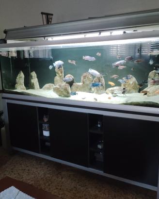Acquario ferplast 750 litri 