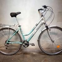 mountain bike o bici city bike olanda alluminio