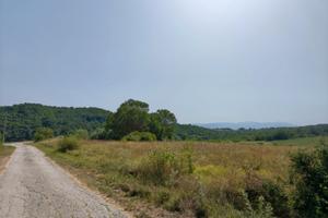 Terreno in Agro San Giuliano del Sannio