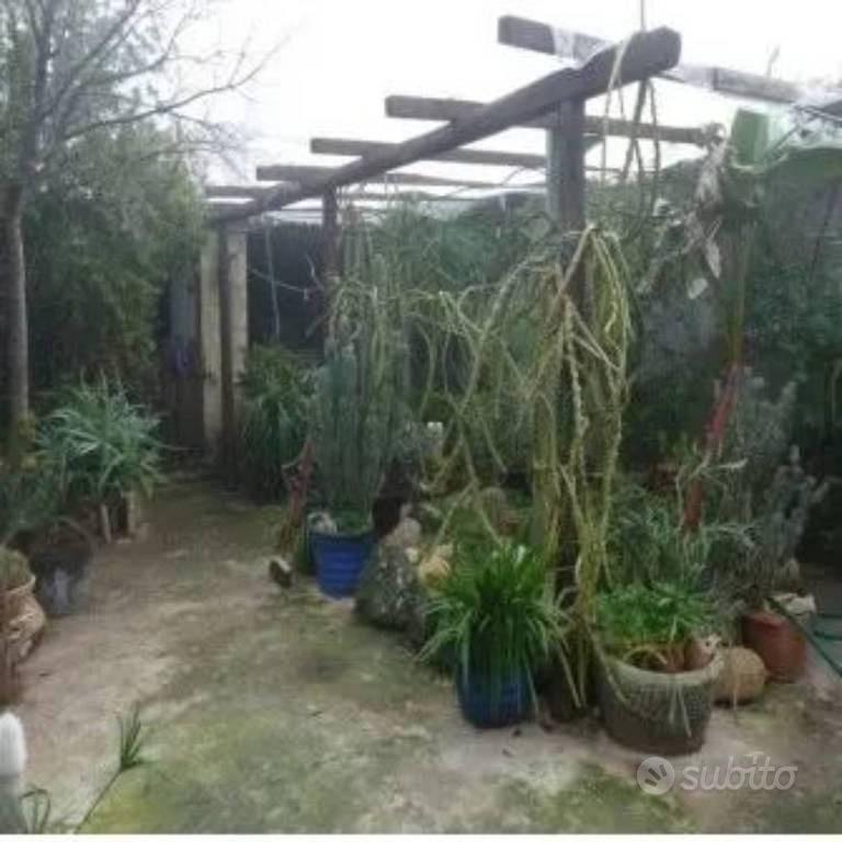 Appartamento – Pabillonis/Pabillonis, Medio Campidano - Vista 4