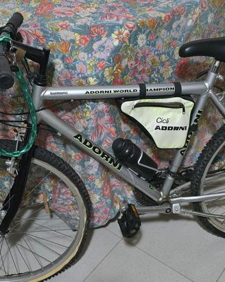 BICI mountain bike