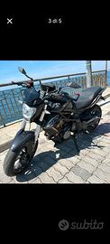 benelli 302 abs 