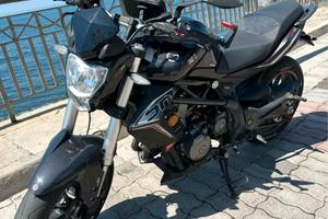 benelli 302 abs 