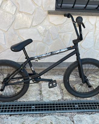 BMX Professionale