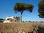 Immagine 17