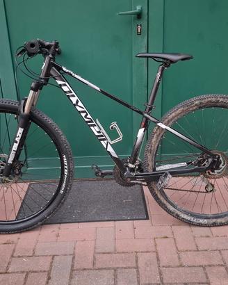 Bici MTB cross-country 29"