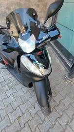 Sh300 PL TRATTABILE 