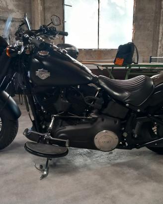 Harley Slim 2012