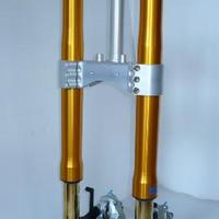 Naked scrambler cafe racer - forcelle ohlins nix