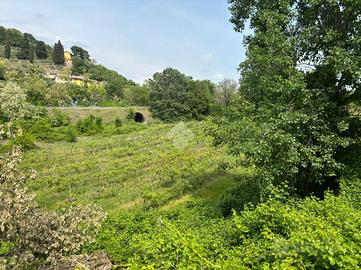 TER. AGRICOLO A PASTRENGO