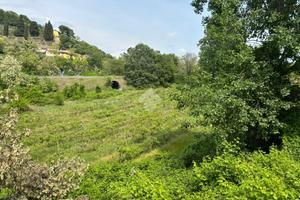 TER. AGRICOLO A PASTRENGO