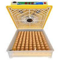 Incubatrice Automatica Professionale EM100 x uova