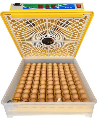 Incubatrice Automatica Professionale EM100 x uova